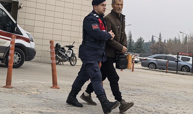 Yasadışı kenevir yetiştiren 73 yaşındaki şahıs yakalandı