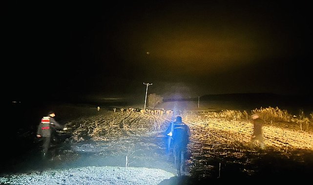 Yozgat'ta kaybolan büyükbaş hayvanlar Jandarma ekiplerince bulundu