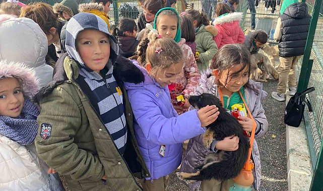 Yozgat'taki Evcil Köy'de çocuklar ve gençler, patili dostlarla buluştu