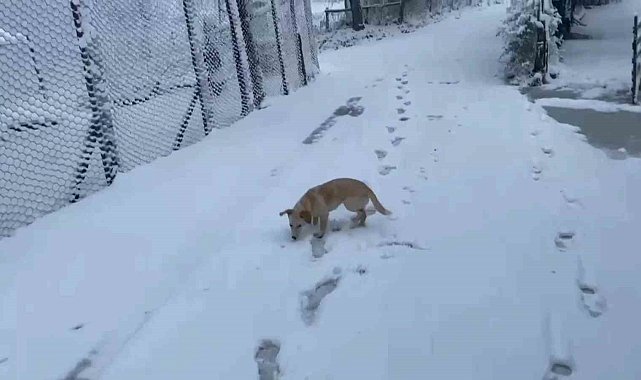 Zonguldak'ın yüksek kesimlerinde kar yağışı