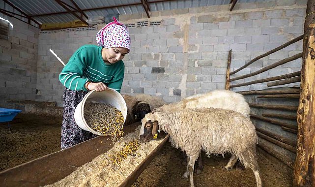 'Hadi Gel Köyümüze Geri Dönelim' projesi bir genci deha üretime kazandırdı