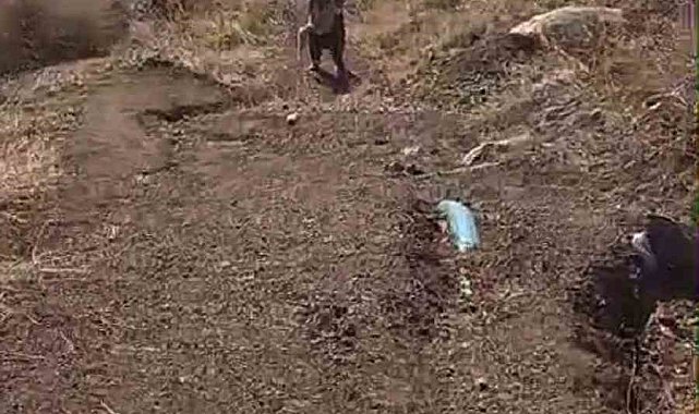 80 yaşındaki Tayyibe nine kümesine dadanan tilkiyi suçüstü yakaladı