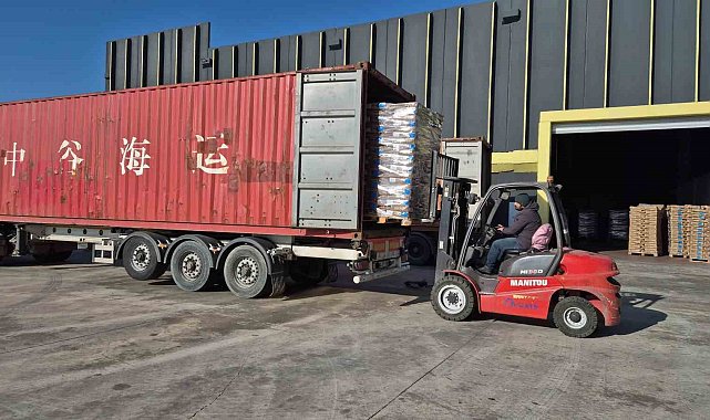 ABD ve Avrupa ambargosu Türkiye'ye yaradı: Türk ayçiçeği tohumları Rusya'da rekor kırıyor