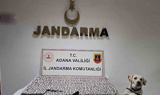 Adana'da 8 bin 523 adet uyuşturucu hap ele geçirildi