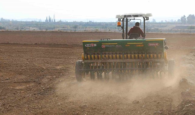 Adana'da buğday taneleri toprakla buluştu