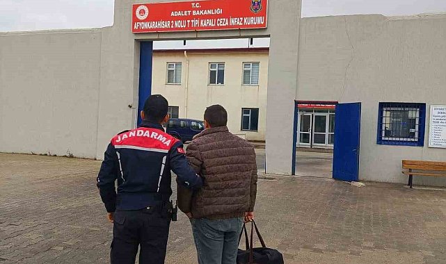 Ağaç kesme suçundan aranan şahıs yakalandı