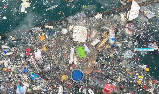 Akdeniz'de oksijen seviyesini düşüren kirlilik: Mersin ve İskenderun körfezleri öne çıkıyor
