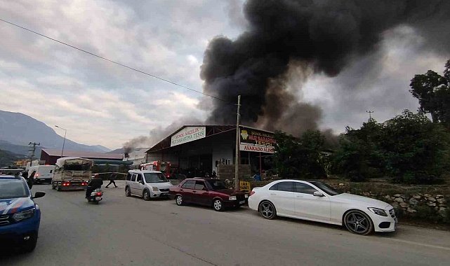 Alanya'da mobilya deposu yandı, alevler muz ve çiçek serasına sıçradı