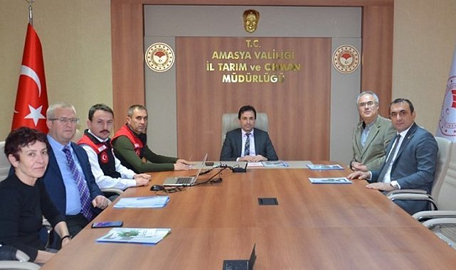 Amasya'da Kahverengi Kokarca zararlısı ile mücadele tedbirleri masaya yatırıldı