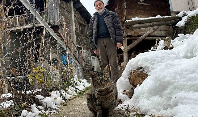 Artvin'de mezrada mahsur kalan kedileri için karlı yolları aşarak yiyecek taşıyor