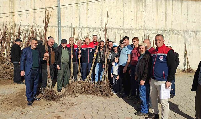 Aydın'da üreticilere kestane fidanı dağıtılıyor