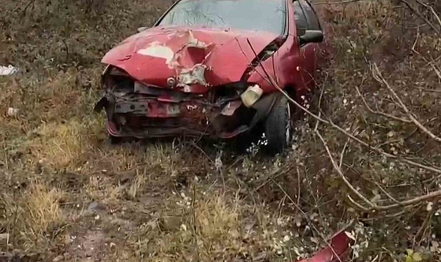 Bartın'da otomobil domuza çarptı: Sürücü yaralandı