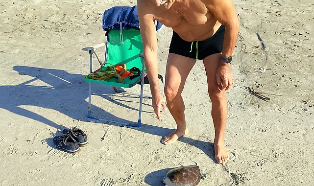 Başkan Sürücü, deniz kaplumbağalarına dikkat çekti