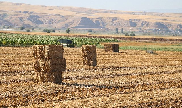 Batman'da anız yakanlara 22 milyonluk ceza