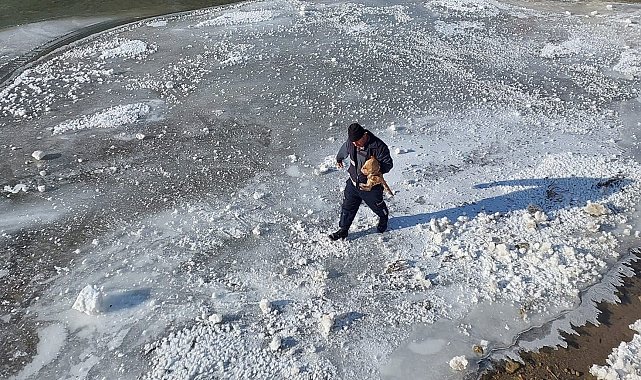Bayburt'ta buz tutan nehre giren kediyi itfaiye kurtardı