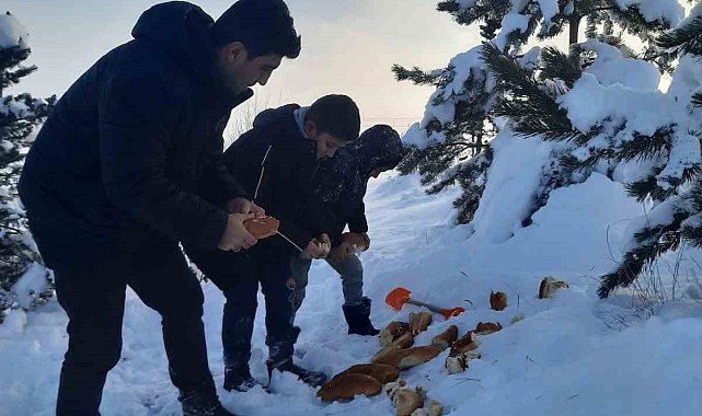 Bayburt'ta öğrenciler hayvanlar için doğaya yiyecek bıraktı