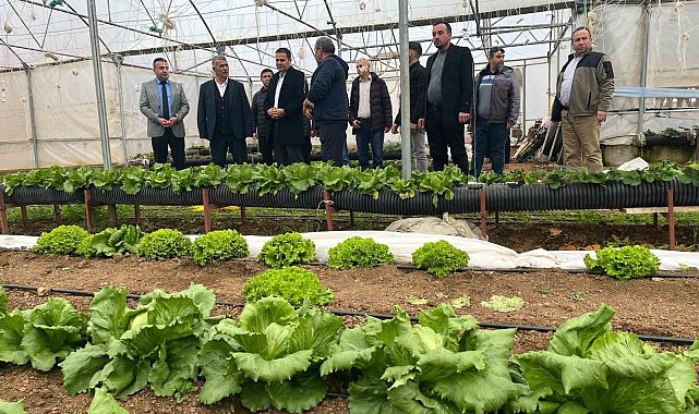 Beyşehir'de yaz seraları üreticilerle buluşturuldu