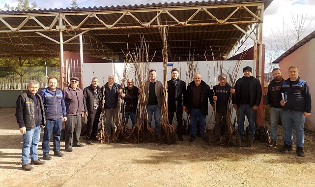 Bilecikli çiftçilere 310 adet meyve fidan dağıtıldı