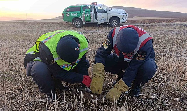 Bitkin düşen şahinin yardımına jandarma koştu