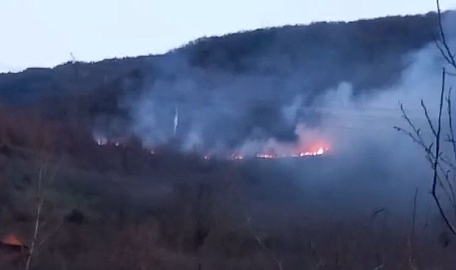 Bolu'daki örtü yangını kontrol altına alındı