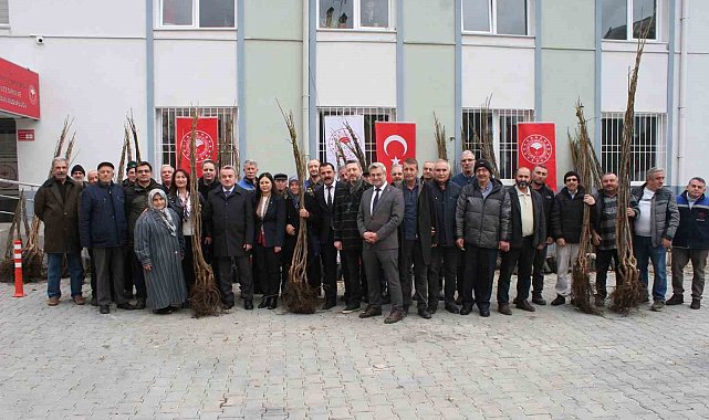 Bozüyük'te çiftçilere meyve fidanı dağıtıldı