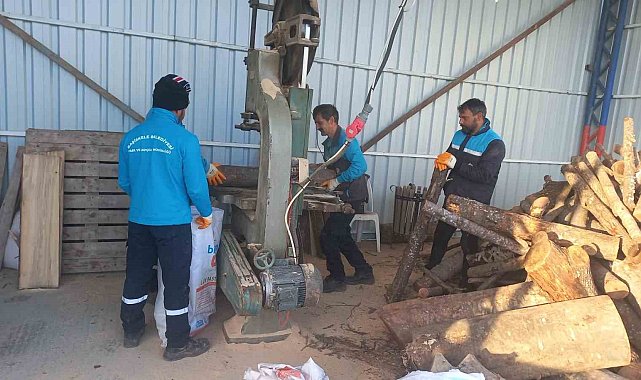 Budanan ağaçlar, dar gelirli ailelere yakacak oluyor