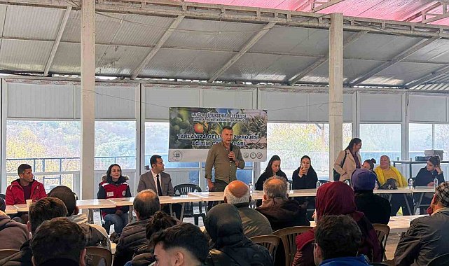 Büyükşehir'den badem biti ve zeytin zararlılarıyla mücadele