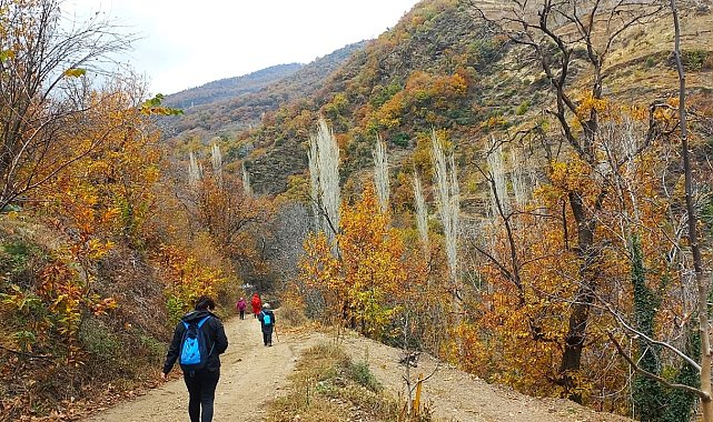 Doğaseverler özgün klima özelliği ile bilinen Koçak Kanyonu'na dikkat çektiler