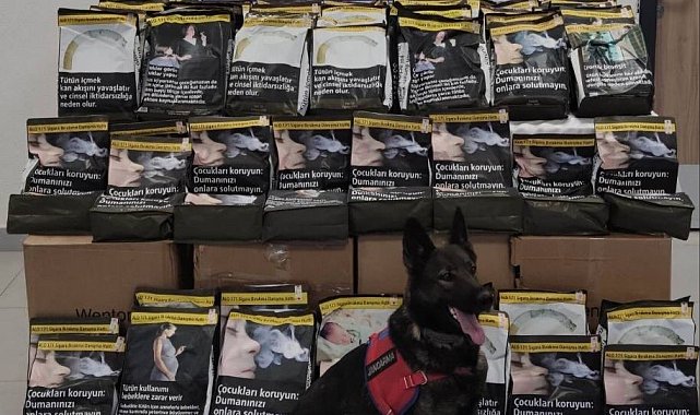 Elazığ&#039;da 85 kilo tütün ele geçirildi