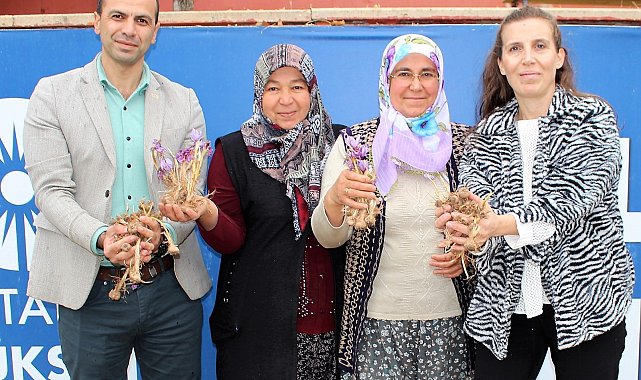 Elmalı'da safran soğanı dağıtımı yapıldı