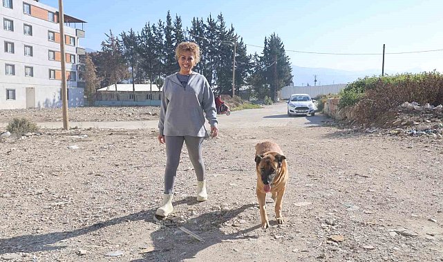 Enkazda sahibinin cansız bedenini bulmuştu, aileye hatıra kalan Max'a gözü gibi bakıyorlar