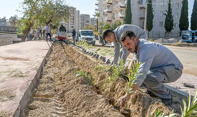 Güneş'e yemyeşil bir yaşam bahçesi geliyor