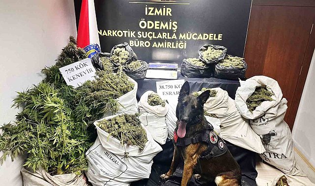 Hayvan damında uyuşturucu imalatı ve ticaretine polis operasyonu