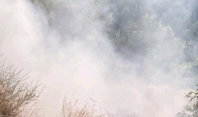 İskenderun'da ormanlık alanda yangın