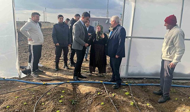 Kardın çiftçi, 65 yaşında devlet desteğiyle sera kurdu