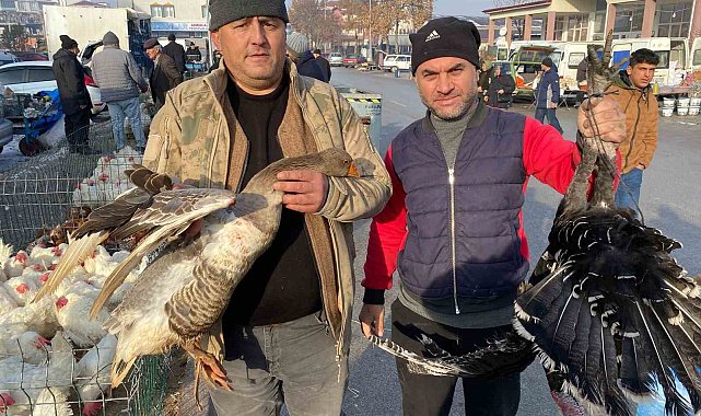 Kaz tüketimi arabaşına bağlı