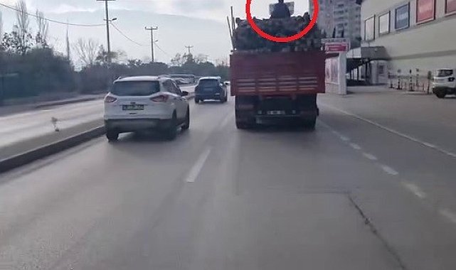 Kereste yüklü kamyonun üstünde ölüme meydan okudular