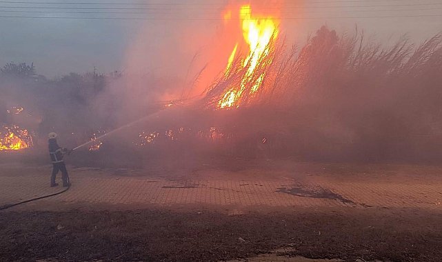 Kırıkhan'da sazlık alanda çıkan yangın büyümeden söndürüldü