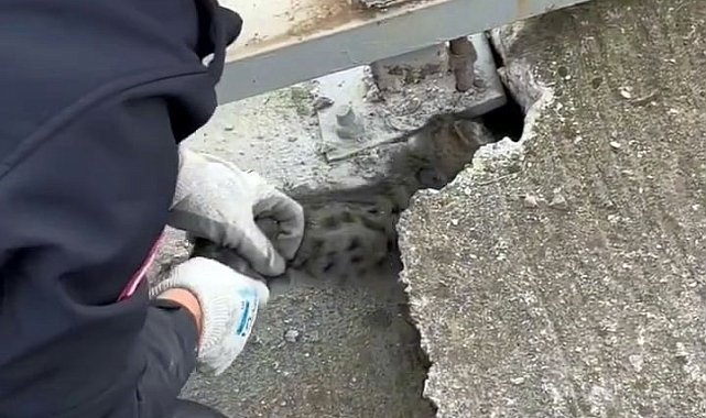 Köprü korkuluğunun altına sıkışan yavru kedinin imdadına itfaiye yetişti