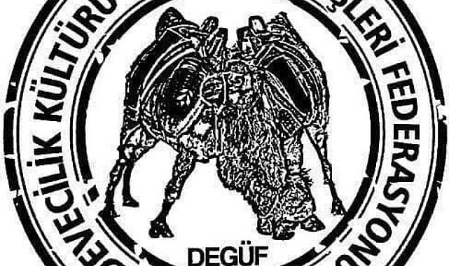 Köşk'teki deve güreşleri iptal edildi