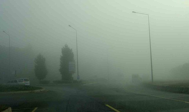 Menteşe'de sis sürücüleri zorladı
