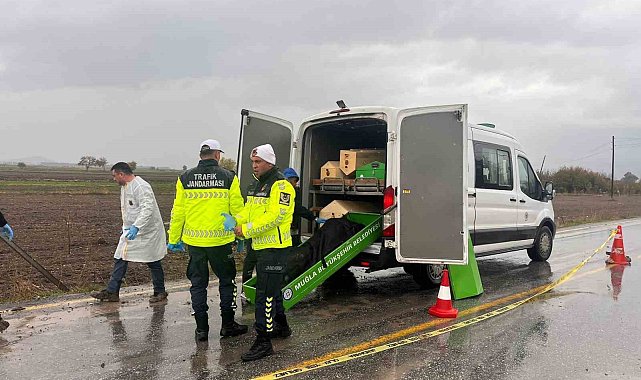 Milas'ta yol kenarında bulunan erkek cesedinin kimliği tespit edildi