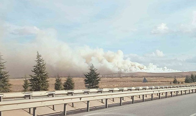 Mısır tarlasında korkutan yangın