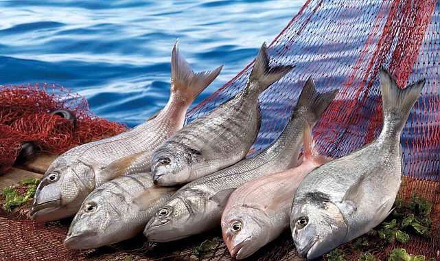 Muğla, Kasım ayında Ege'nin ihracat artış rekortmeni oldu