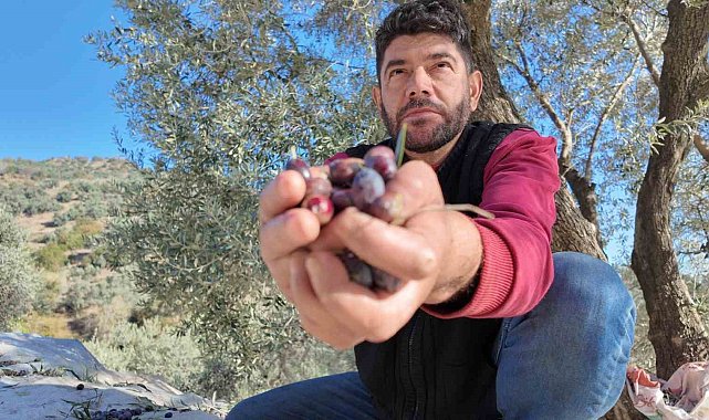 Nakil iki koluyla sorunsuz hasat yapıyor