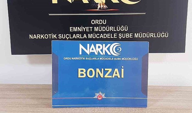 Ordu'da uyuşturucu operasyonlarında 1 tutuklama
