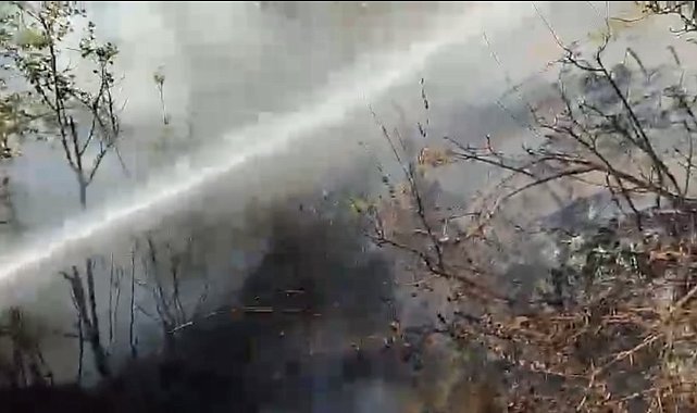 Osmaniye&#039;de çıkan orman yangını söndürüldü