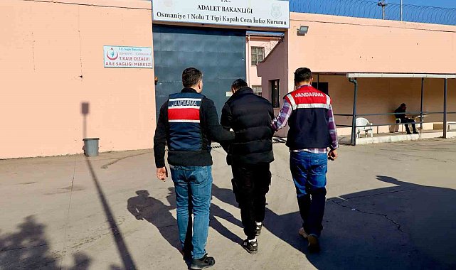 Osmaniye'de El Kaide operasyonu: 1 tutuklama