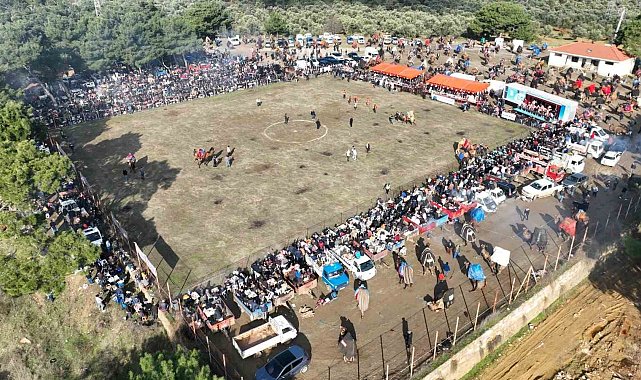 Pelitköy'de deve güreşi coşkusu