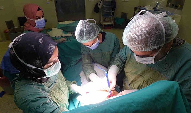 Prof. Dr. Balcı: "Bazı hastalarda komplikasyonun gelişmesinde sigara ve alkol önemli bir risk faktörüdür"